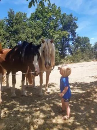 Emplacement Σαλέ